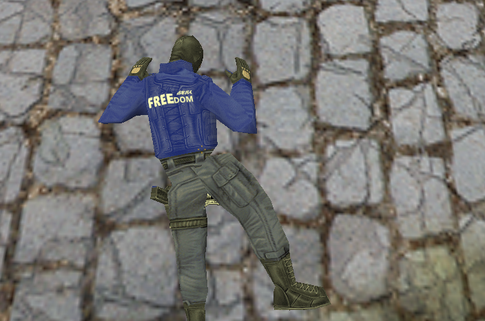 CS模型：过sXe 最新Freedom战队红蓝皮肤下载