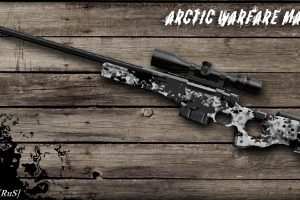 Arctic-Warfare-Magnun AWP模型
